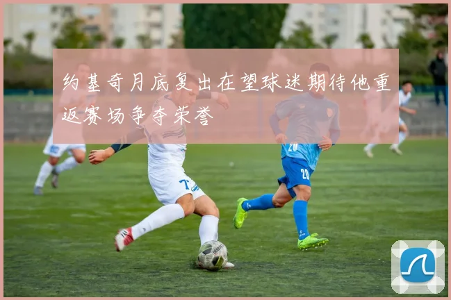 约基奇月底复出在望球迷期待他重返赛场争夺荣誉